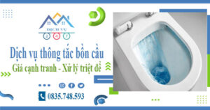 Báo giá dịch vụ thông tắc bồn cầu tại Vĩnh Yên -【Chỉ từ 300k】